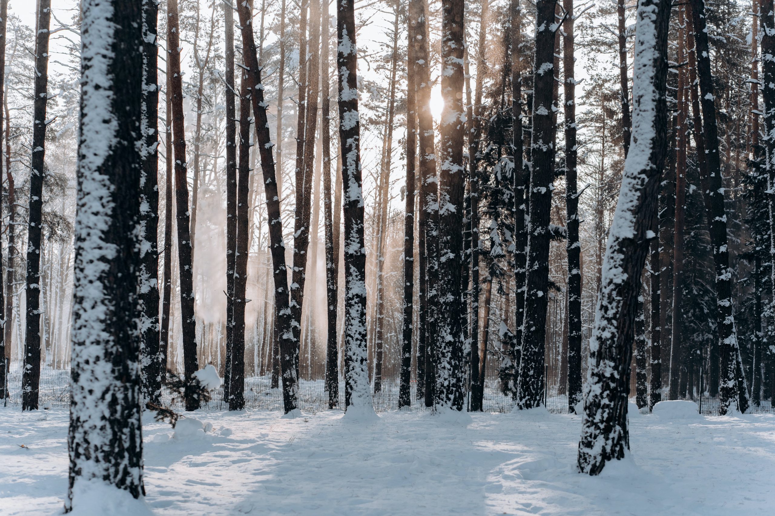 winter home preparation